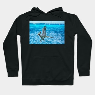 Landing HDR Hoodie